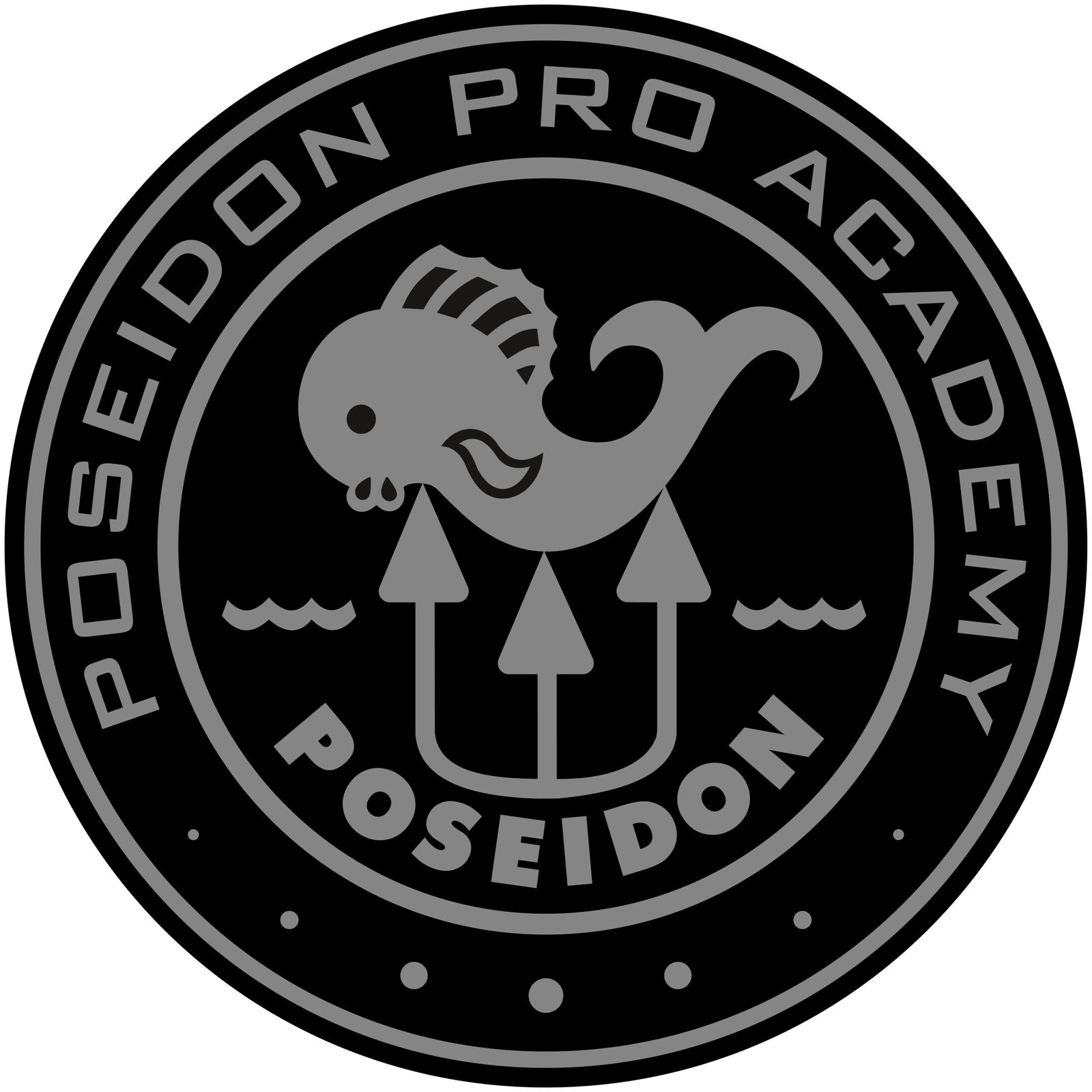 poseidonproacademy.com